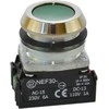 Promet Valdymo mygtukas 30mm žalias su 2Z grįžtamasis (W0-NEE30-K 2X Z)