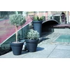 Prosperplast Plastikinis vazonas Classic, Ø40 cm