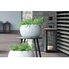 Prosperplast Doniczka FURU BOWL DBFUK440 vazonas - baltas