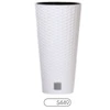 Prosperplast RATO puodas TUBUS 250mm balta - DRUX250-S449