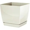 Prosperplast Dekoratyvinis gėlių vazonas su padėklu Coubi Square P 13.5x13.5x12.4cm plast./kreminės sp.