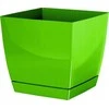 Prosperplast Dekoratyvinis gėlių vazonas su padėklu Coubi Square P 10x10x9.2cm plastikinis/žalias