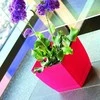 Prosperplast Dekoratyvinis gėlių vazonas su padėklu Coubi Square P 24x24x22cm plast./kreminės sp.