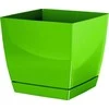 Prosperplast Dekoratyvinis gėlių vazonas su padėklu Coubi Square P 13.5x13.5x12.4cm plastikinis/žalias