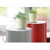 Prosperplast Plastikinis vazonas Sandy P DSY110P-S433, Ø10.8 cm