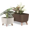 Prosperplast Gracia kvadratinis vazonas eco mediena 24x24 cm