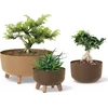 Prosperplast Gėlių vazonas Gracia Low Eco Wood DGRL300LW ekologiška kava