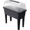 Prosperplast Miniglass 38 cm x 77 cm x 82 cm (DREP770- S433)