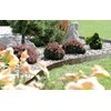 Prosperplast Dekoratyvinė tvorelė L390cm H18.6cm/5vnt. plastikinė/tamsiai ruda