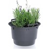Prosperplast Plastikinis vazono įdėklas, juodos sp., 28 x 17 cm