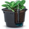 Prosperplast Plastikinis vazono įdėklas, juodos sp., 28 x 17 cm