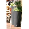 Prosperplast RATO puodas TUBUS 250mm balta - DRUX250-S449