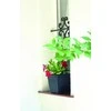 Prosperplast TERRA DKWT37-R624, Color Terracota, Prosperplast, matmenys 37x37x30 cm