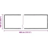 Skaidrus brezentas su ąselėmis 1x4 m PVC
