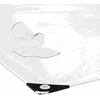 Skaidrus brezentas su ąselėmis 5x6 m PVC