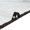Skaidrus brezentas su ąselėmis 6x8 m polietilenas