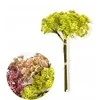 Mondex Since 1986 Przydasie VIRIDIS Dirbtinė gėlė Gypsophila kekė 5vnt 30cm