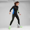 Puma Ultra 5 Match FG/AG 107687 03 (43) futbolo bateliai