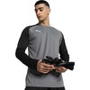 Bluza bramkarska vyriška Puma teamPACER GK LS pilka 704933 43 (M)