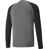 Bluza bramkarska vyriška Puma teamPACER GK LS pilka 704933 43 (M)