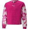 Puma Alpha Crew TR Jr džemperis 846941 14