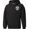 Puma Alpha Hoodie FL Jr džemperis 589232 01