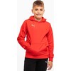 Bluza vaikams Puma Team Goal Casuals Hoddy raudona 658619 01 (152cm)