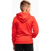 Bluza vaikams Puma Team Goal Casuals Hoddy raudona 658619 01 (152cm)