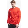 Bluza vyriška Puma Team Goal Casuals Crew Neck Sweat raudona 658592 01 (M)