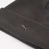 Kepurė Puma Aukšto Kirpimo Kepuraitė Metal Cat 026404-03