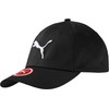 Puma Essential Kepurė Big Cat 052919 01