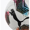 Puma Kamuolys Puma Futsal 3 MS 084344-01