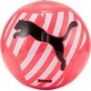 Puma Kamuolys Puma Puma Cat Ball 083994-05