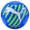 Puma Kamuolys Puma Puma Cat Ball 083994-06