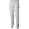 Kelnės moterims Puma Power Pants FL pilka 589546 04 (L)