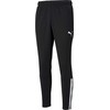 Puma Kelnės Vyrams TeamLiga Training Pants Juodas 657242 03