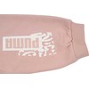 Kelnės vaikams Puma Alpha Sweatpants FL cL G rožinė 670222 47 (152cm)