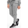 Kelnės vaikams Puma Team Goal pilka 658601 33 (152cm)