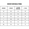 Sportinės kelnės vaikams Puma Team Rise Poly Junior 657391 03, juodos