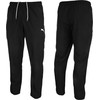 Puma teamRise Sideline kelnės M 657327 03