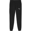 Puma Team Goal Laisvalaikio Kelnės M 658598 03