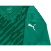 Vyriški marškinėliai Puma teamULTIMATE žalia 705371 05 (S)