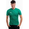 Vyriški marškinėliai Puma teamULTIMATE žalia 705371 05 (S)