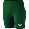 Šortai Puma Liga Baselayer