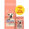 Purina Nestle Sausas Šunų Maistas - PURINA Dog Chow Sensitive lašiša 16,5kg