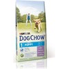 Purina Nestle Purina ėriena Dog Chow šuniukas 14kg