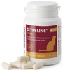 Purina Nestle Purina GLYFELINE 15 mg GLIKOAMINO VALDYMAS KATĖMS 60 kaps.