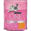 Purina Nestle One Bifensis Junior – sausas kačių maistas – 800g