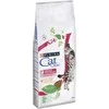 Purina Nestle PURINA CAT CHOW Special Care šlapimo takų sveikatai 15 kg