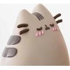 Pusheen – nuolatinis 3D kalendorius iš kolekcijos Purrfect Love